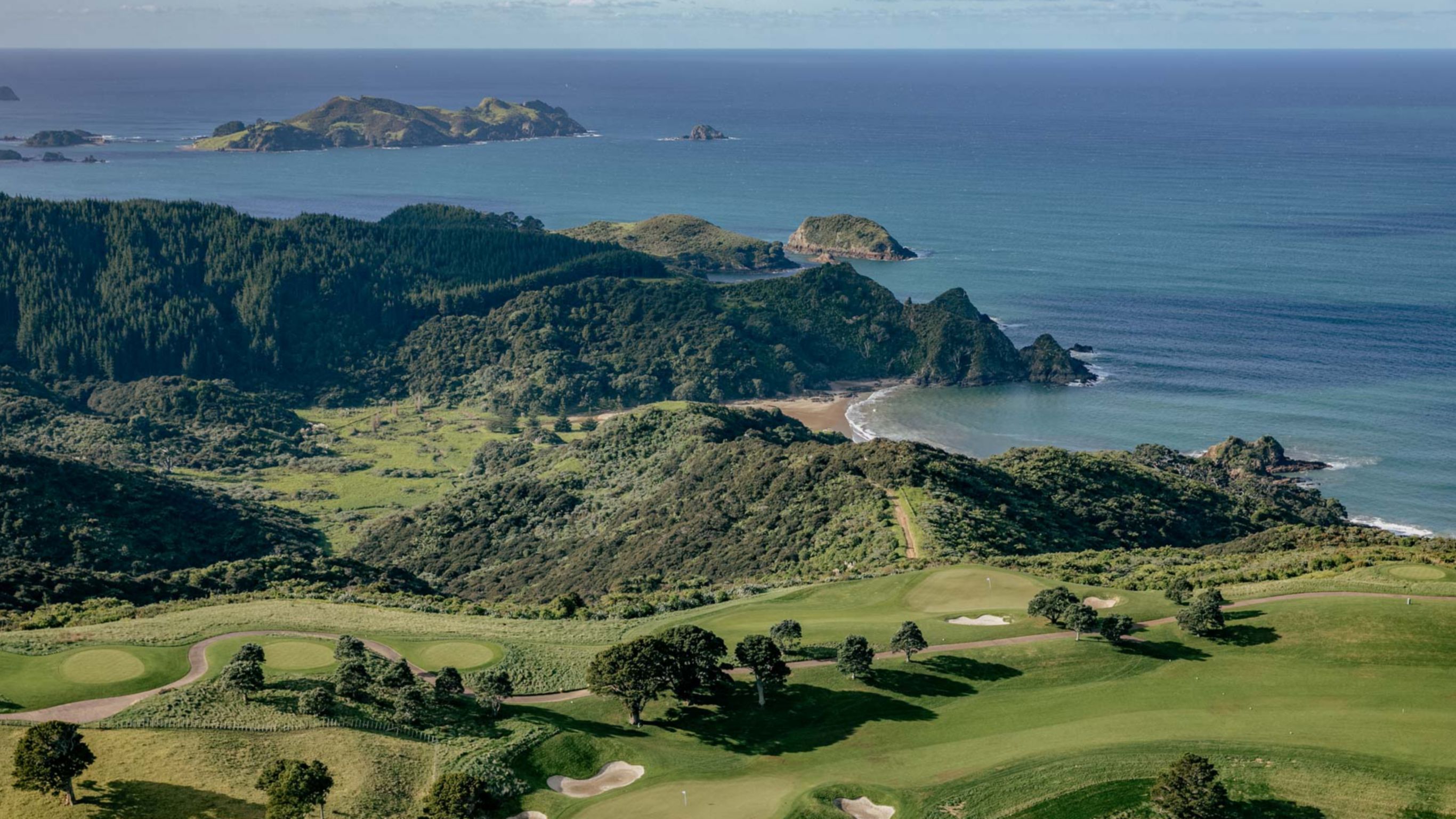 Waiaua Bay Aerial view
